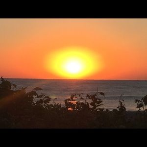 Meet your Posher, Alison